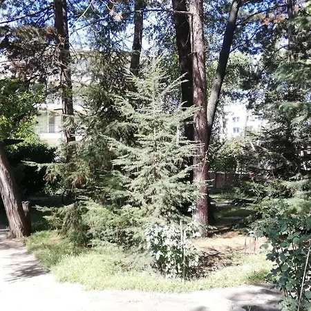 ホテル Portobello Garden
